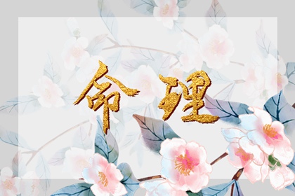匹配生辰八字_八字看财富程度_测名生辰八字_电脑算八字