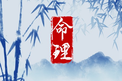 八字本命盘,新浪紫薇命盘,紫微四柱排盘
