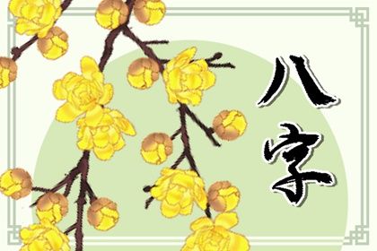 如何阅读一份排盘