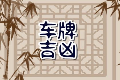 在线号码查询怎么看