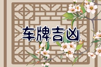 81 数理简介