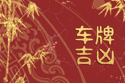 数理分如何理解