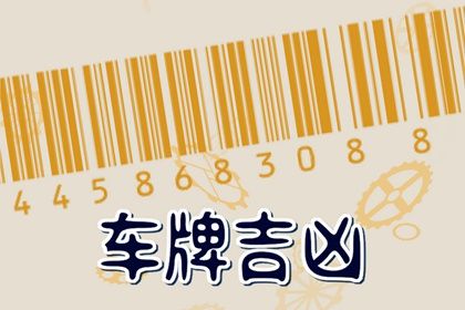 车牌吉凶看什么