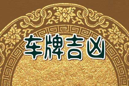 如何读本页结果