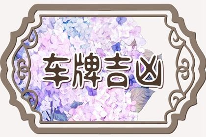 车牌吉凶看什么
