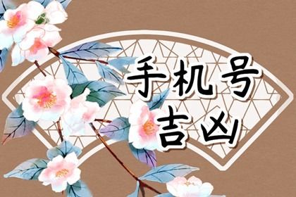 81 数理简介