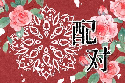 八宅风水与命宫配合
