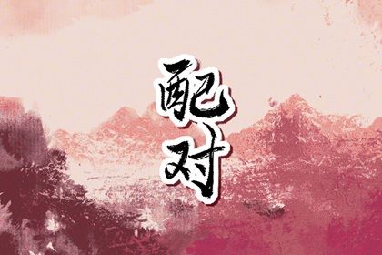 日支定夫妻宫：合与冲