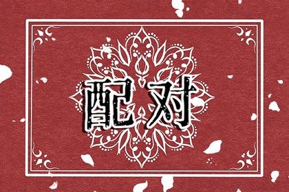 感情与婚姻的关系