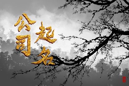 婚姻合婚测试_男女生肖配对_五行算姻缘