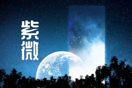 如何读本页结果