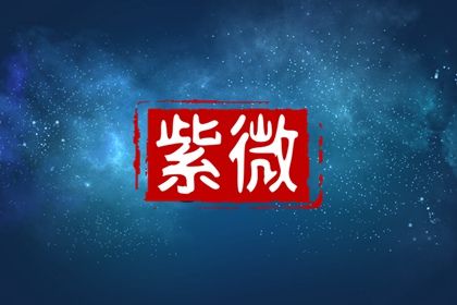在线紫微查询怎么看
