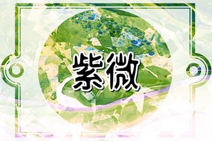 在线紫微查询怎么看