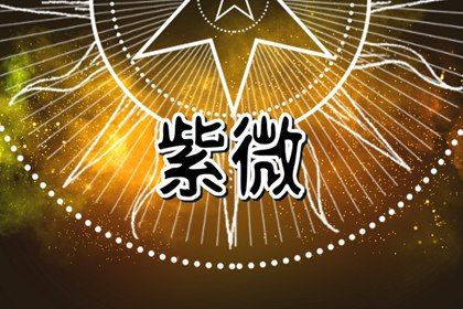 测算结果怎么用