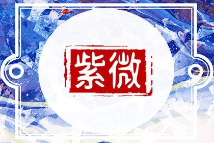 在线紫微查询怎么看